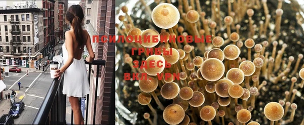 экстази Алексин