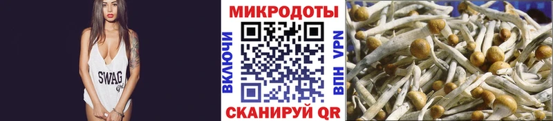 как найти закладки Жирновск Галлюциногенные грибы Magic Shrooms